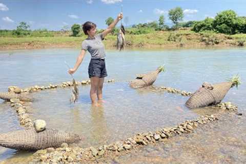 Full best video survival skills, technical and how to catch many fish - Fishing trap in the river