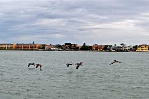 Inn on the Beach, St. Petersburg, Florida: A Surprise!