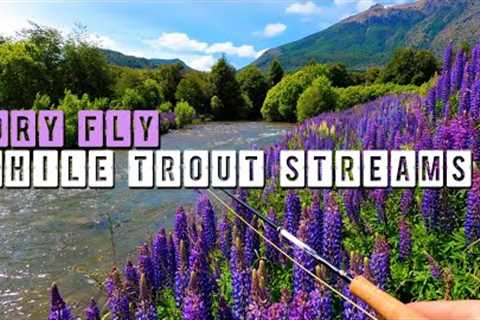 Dry Fly Fishing Chile's Beautiful Trout Streams - HUGE Brown Trout at the End!