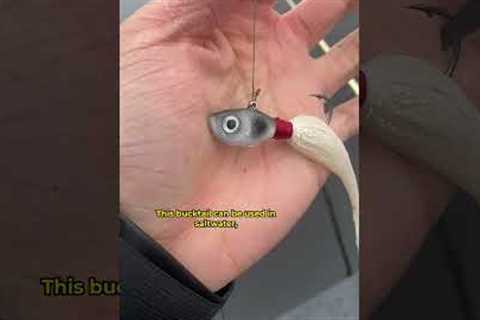 Someone Mailed this to Me...So I Fished with it