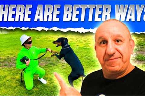 Dog Training Using Force Is A Problem | My Reaction To Dog Daddy