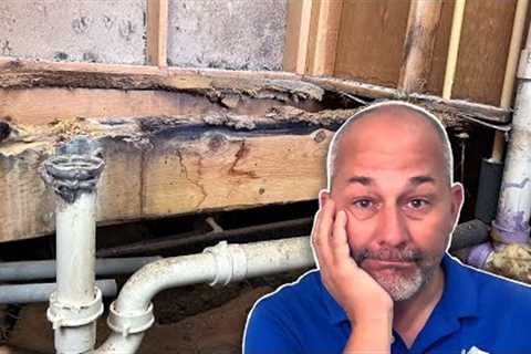 It's a Disaster...