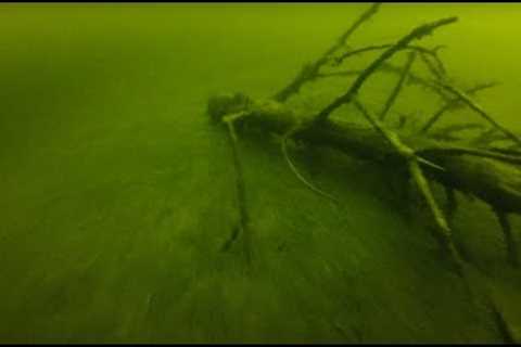 Lake Murray SC Scuba Diving Spence Island cove!