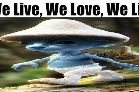 We Live, We Love, We Lie