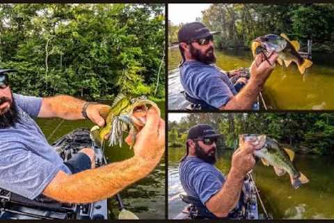 Chickamauga Lake Fishing with the Berkley Slobberknocker - Ultimate Bass Adventure!