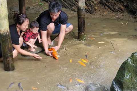 Changing fish pond water | catch fish to cook with the family - Chúc Tòn Bình