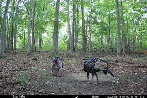 The first dual lens Highest-Definition &amp; Performance Game Trail Camera