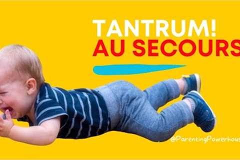 Taming Toddler Tantrums: A Fun Guide for Parents