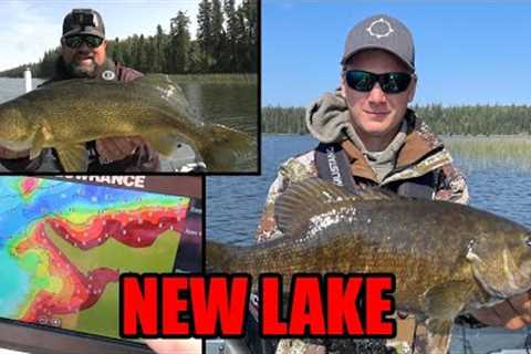 Crushing Walleye and Bass on a New Lake! | Fishing Manitoba