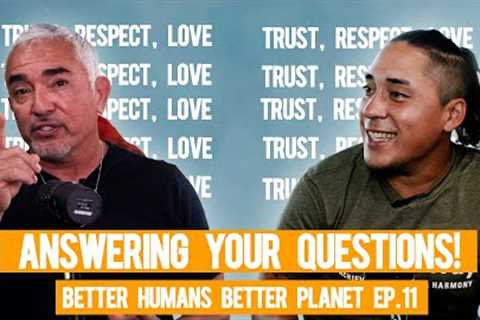 Cesar Millan Answers Your Dog Training Questions! (featuring. Andre Millan) | BHBP EP. 11