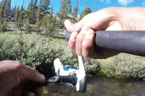 A Quick Fishing Test of Lee Vining Creek (Off East HWY120)