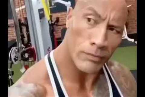 the rock eye brow earrape