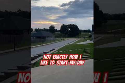 Only a matter of time!🫣😮#lawncare #youtube #shorts