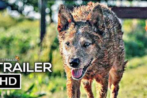 PET SEMATARY: BLOODLINES Official Trailer (2023) Horror Movie HD