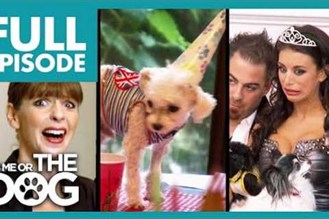 Pampered Dogs, 💩 in the Bed, &amp; Training a Pig?! | Full Episode | It's Me or The Dog