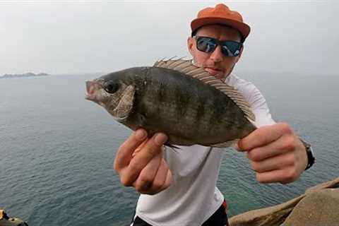 LIGHT FLOAT FISHING | BLACK BREAM | CATCH &amp; COOK