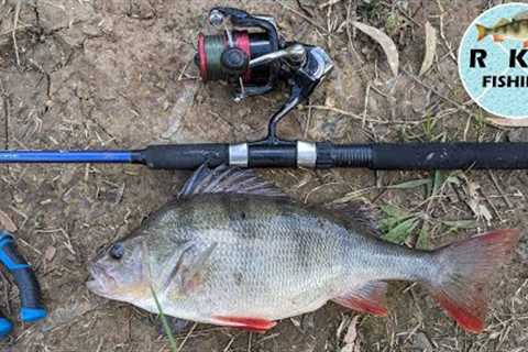 Bait fishing for yellow and red