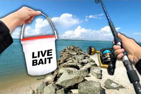 I Caught the TASTIEST Fish Ever.. and ATE it (Catch and Cook)