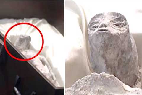 Mexican Officials Just Released The Clearest Evidence Of A Real Life Alien During Their UAP Hearing