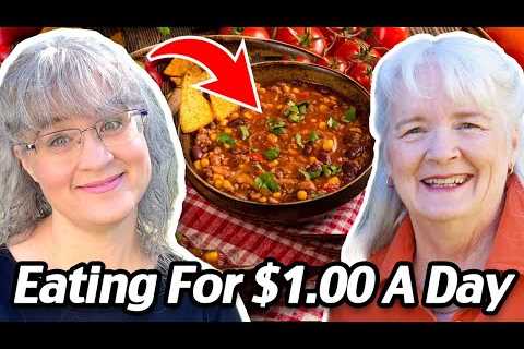 LIVE! Eating For $1 A Day: Cheap And Healthy Meal Ideas! Grocery Budget Audit
