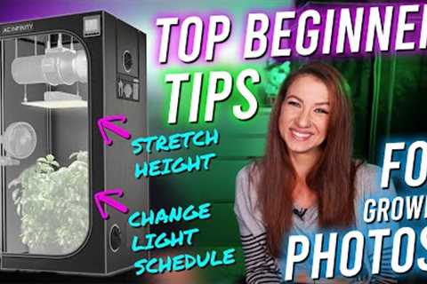 Top Tips For Beginners Growing Photos!