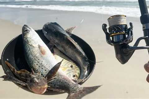 Eating EVERY FISH on the Beach! (7 Species!) Beach Fishing Catch &amp; Cook