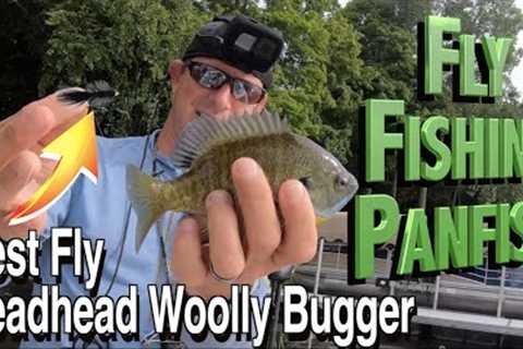 How to Fly Fish for Panfish | Best Bluegill Fly: Beadhead Woolly Bugger | Tips &amp; Techniques