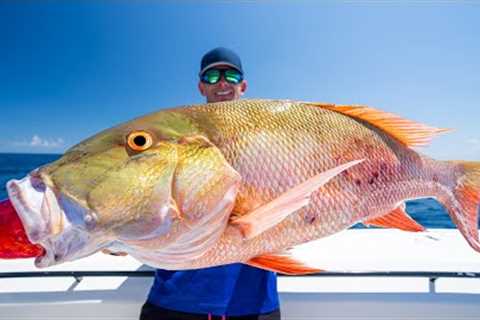 FATAL Truth about Deep Sea Fishing...Catch Clean Cook (Snapper)