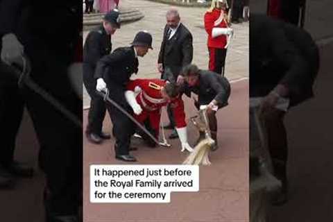 Soldier faints at Windsor Castle