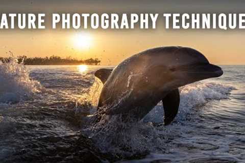 Photo Hacks to Improve Your Nature Photography