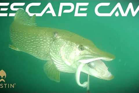 Escape Cam | Westin Fishing
