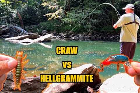 NEW Bright Color Lures in CLEAR Water...