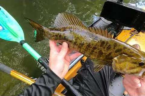 Kayak fishing for BIG september smallies with the Great White Shad