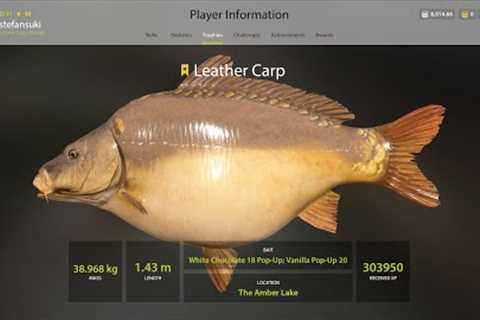 Trophy Leather Carp Amber Lake - Russian Fishing 4 BIG TROPHEY