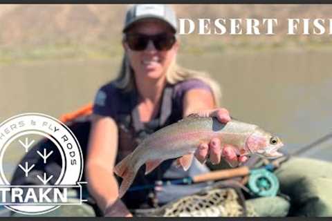 Northern Nevada Desert Fish- Fly Fishing and Dutch oven Cooking