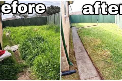 I knocked on a strangers door with this offer... [Yard makeover]