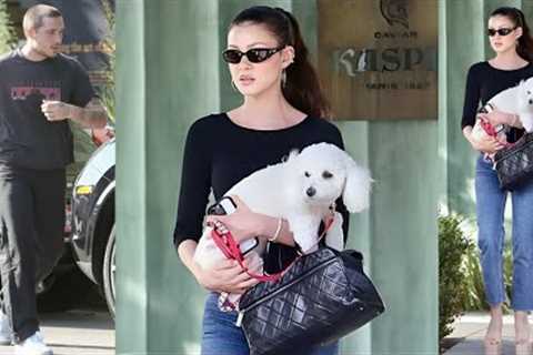 Brooklyn Beckham and Nicola Peltz's Relaxed Outing in Los Angeles