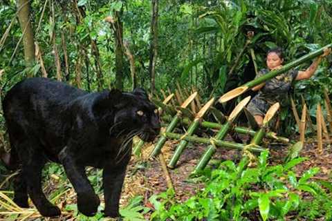 Survive alone. In the forest. Danger, black panther, Attack, Fear, Survival skills