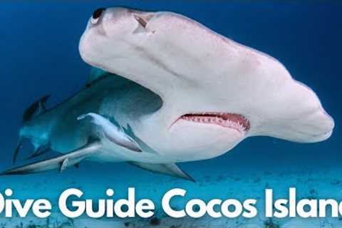 A Scuba Diver Guide To Scuba Diving Cocos Island