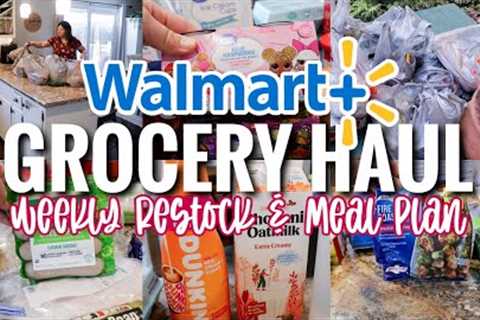 WALMART GROCERY HAUL | DING DONG, THE GROCERIES ARE HERE | GROCERY HAUL + MEAL PLAN