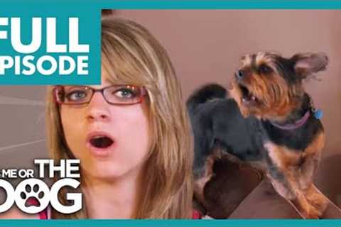 Daughter Forced to Help out with Dogs She HATES! | Full Episode | It's Me or The Dog
