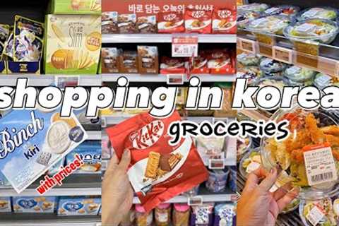 shopping in Korea vlog 🇰🇷 grocery food haul with prices! 🥗 healthy snacks, fruits &amp; veggies