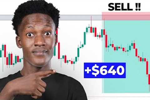 The Best Trading Strategy for Beginner Forex Traders