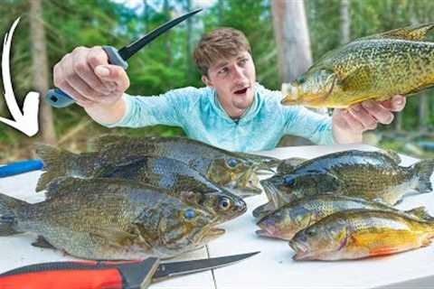 TASTY INVASIVES! Catch &amp; Cook UNWANTED Fish Species