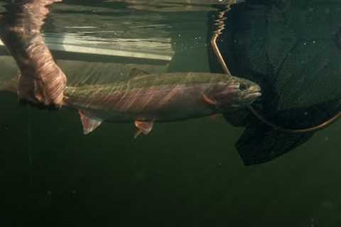 Fishing BC Presents: Fall Lake Fishing in Quesnel, BC