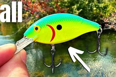DON'T Fish Without These LURES In The FALL