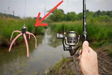 I Bought a Weird Fishing Lure of Amazon....