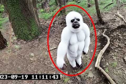 15 SCARIEST Trail Cam Videos You'll Ever See..
