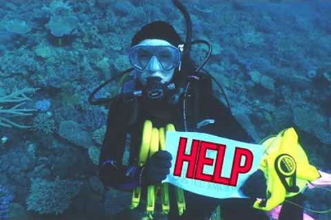 What you should ACTUALLY be afraid of when Scuba Diving