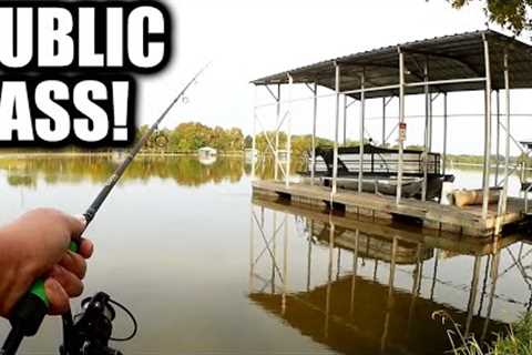 Fishing From Shore at a Public Park! Fall Bass Fishing Lures That Work